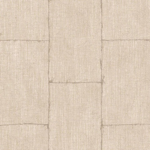 Papel Tapiz Textured Plains TP3002