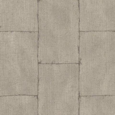 Papel Tapiz Textured Plains TP3003